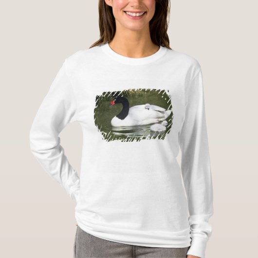 黒首の白鳥の大人と水の中のシチュー。 Tシャツ (正面)