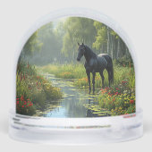 黒馬が豊かな緑の森の広場に佇む (裏面)