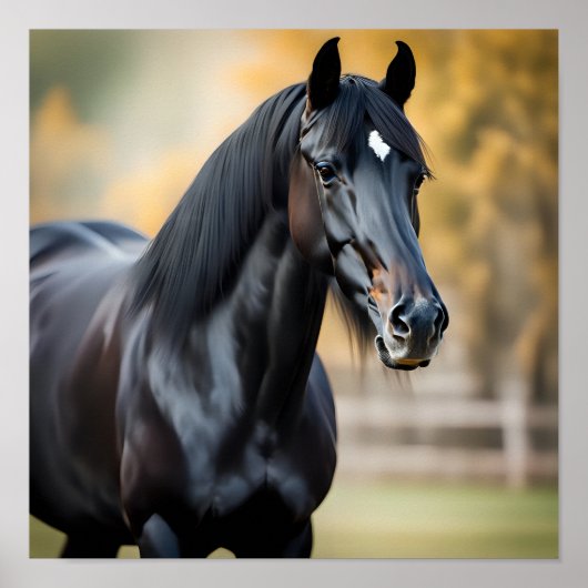 黒馬のクローズアップポートレート ポスター (正面)