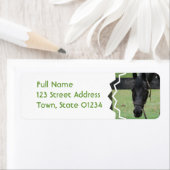 黒馬のメーリングラベル ラベル (インサイチュ)