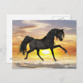 黒馬はがき ポストカード (正面/裏面)