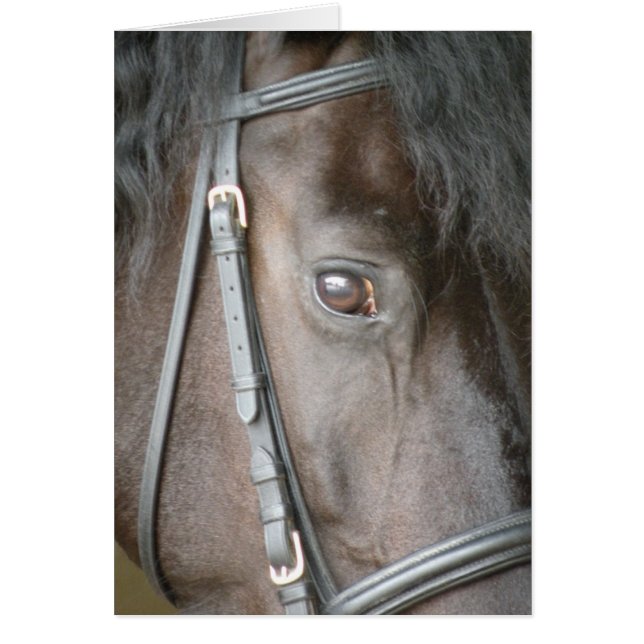 黒馬カード (正面)