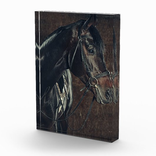 黒馬フォトブロック フォトブロック (右)