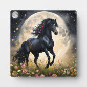 黒馬月花畑 フォトプラーク (正面)