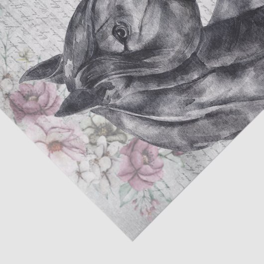 黒馬牧草地ファンタジーデクページ 薄葉紙 (詳細)