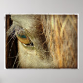 黒馬眼 ポスター (正面)