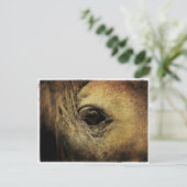 黒馬眼 ポストカード (スタンド正面)