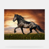 黒馬 アクリルサイン (正面)