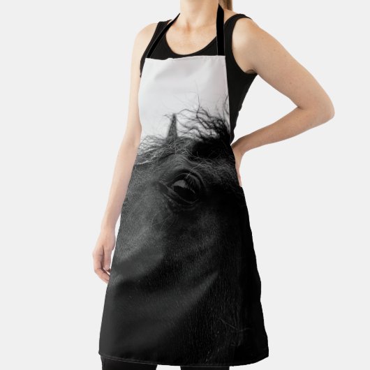 黒馬 エプロン (インサイチュ)