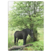 黒馬 クリップボード (裏面)