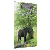 黒馬 クリップボード (右)