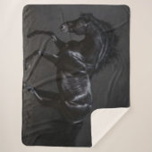 黒馬 シェルパブランケット (正面)