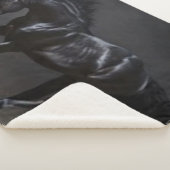 黒馬 シェルパブランケット (3/4)