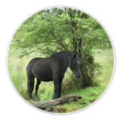 黒馬 セラミックノブ (正面)