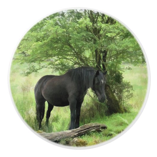 黒馬 セラミックノブ (正面)