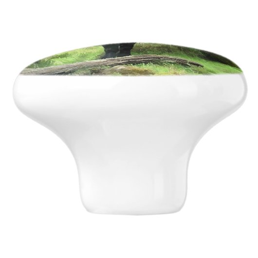 黒馬 セラミックノブ (側面)