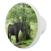 黒馬 セラミックノブ (右)