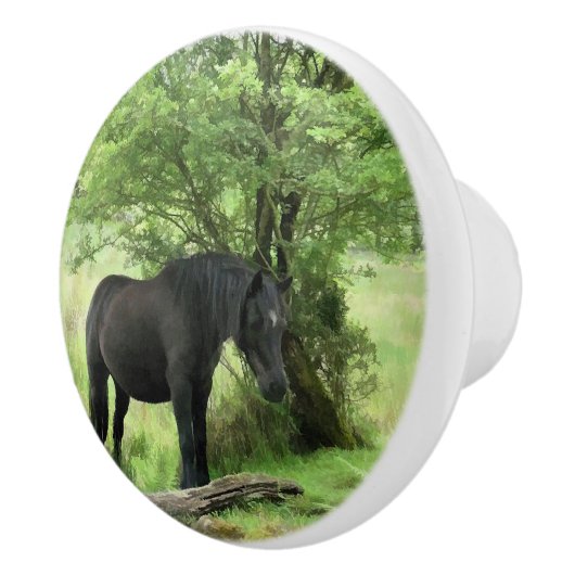 黒馬 セラミックノブ (右)