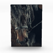 黒馬 フォトブロック (正面)