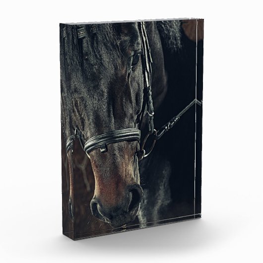 黒馬 フォトブロック (左)