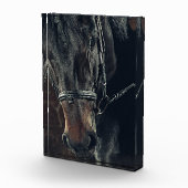 黒馬 フォトブロック (右)