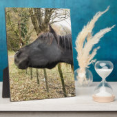 黒馬 フォトプラーク (側面)