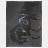 黒馬 フリースブランケット (正面)