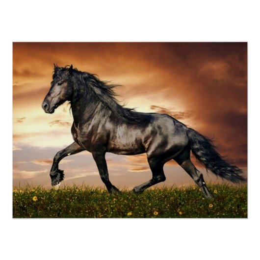 黒馬 ポスター (正面)