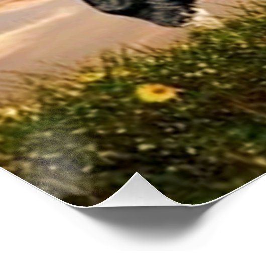 黒馬 ポスター (コーナー)