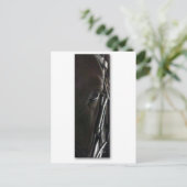 黒馬 ポストカード (スタンド正面)