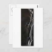 黒馬 ポストカード (正面/裏面)