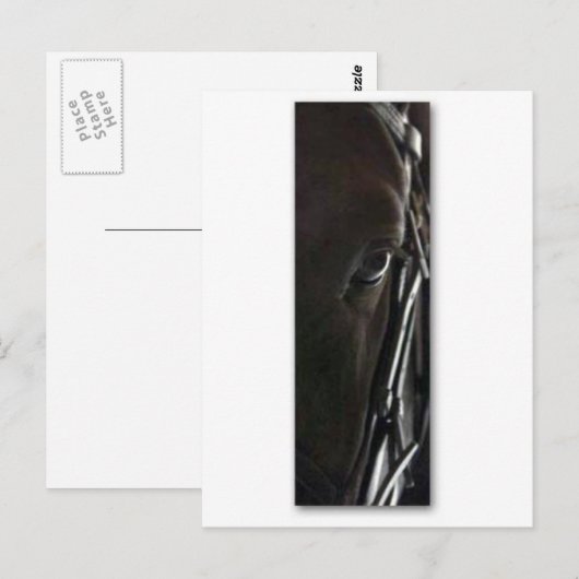 黒馬 ポストカード (正面/裏面)