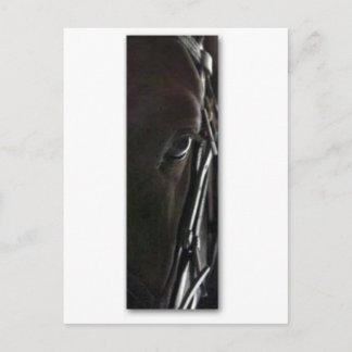 黒馬 ポストカード