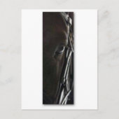 黒馬 ポストカード (正面)