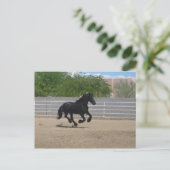 黒馬 ポストカード (スタンド正面)