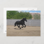 黒馬 ポストカード (正面/裏面)