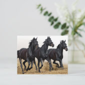 黒馬 ポストカード (スタンド正面)