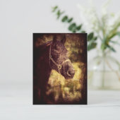 黒馬 ポストカード (スタンド正面)