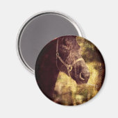 黒馬 マグネット (正面/裏面)