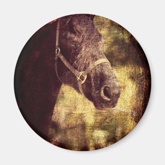 黒馬 マグネット (正面)