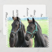 黒馬 招待状 (正面/裏面)