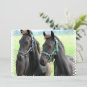 黒馬 招待状 (スタンド正面)