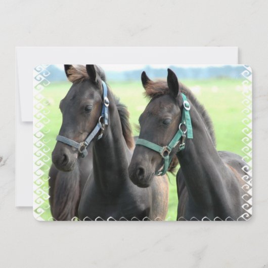 黒馬 招待状 (正面)