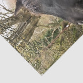 黒馬 薄葉紙 (詳細)