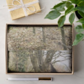 黒馬 薄葉紙 (ギフト)