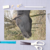 黒馬 薄葉紙 (クラフト)