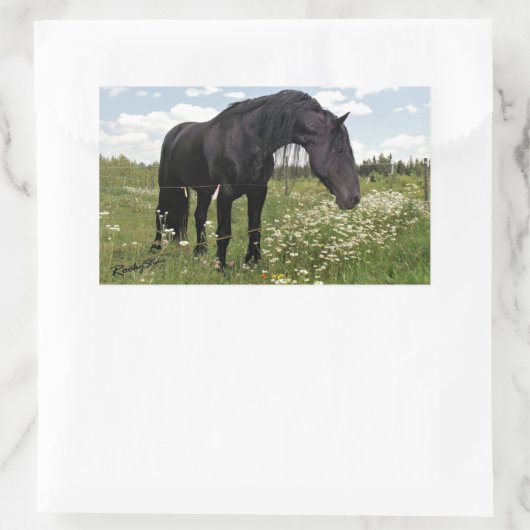 黒馬 長方形シール (バッグ)