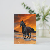 黒馬、黒いタリオン、走とフリー ポストカード (スタンド正面)