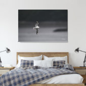 黒髪のカモメver.日本の夏 キャンバスプリント (インサイチュ (寝室))