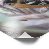 黒髪のグースベイク フォトプリント            (角)